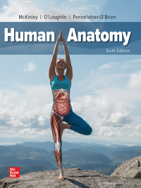 Human Anatomy 6th Edition by Michael McKinley – PDF ebook