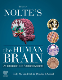 Nolte’s The Human Brain: An Introduction to its Functional Anatomy 8th Edition – PDF ebook