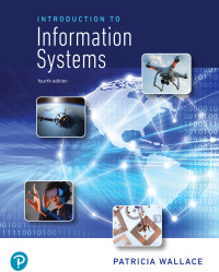 Introduction to Information Systems 4th Edition – PDF ebook