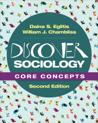 Discover Sociology: Core Concepts 2nd Edition – PDF ebook