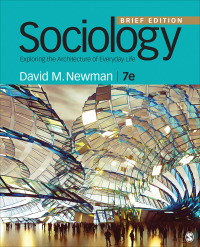 Sociology: Exploring the Architecture of Everyday Life: Brief Edition 7th Edition – PDF ebook