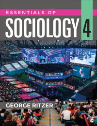 Essentials of Sociology 4th Edition – PDF ebook