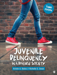 Juvenile Delinquency in a Diverse Society 3rd Edition – PDF ebook