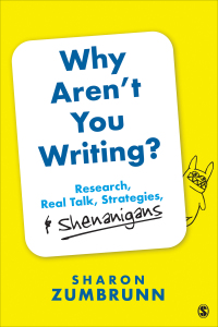 Why Aren’t You Writing?: Research, Real Talk, Strategies, & Shenanigans 1st Edition – PDF ebook