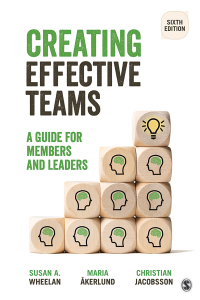 Creating Effective Teams: A Guide for Members and Leaders 6th Edition – PDF ebook
