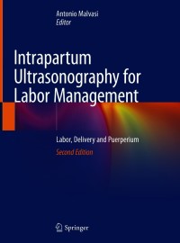 Intrapartum Ultrasonography for Labor Management: Labor, Delivery and Puerperium 2nd Edition – PDF ebook