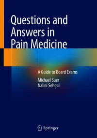 Questions and Answers in Pain Medicine: A Guide to Board Exams – PDF ebook