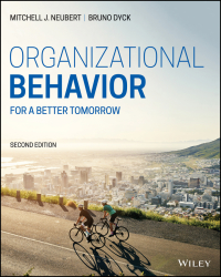 Organizational Behavior: For a Better Tomorrow 2nd Edition – PDF ebook