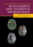The Cambridge Handbook of Intelligence and Cognitive Neuroscience – PDF ebook