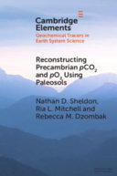 Reconstructing Precambrian pCO2 and pO2 Using Paleosols – PDF ebook