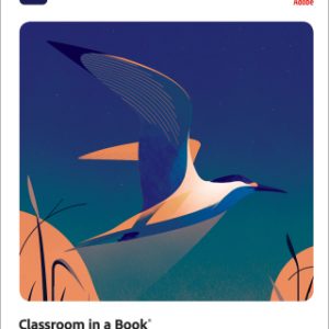 Adobe Animate Classroom in a Book (2021 release), 1st edition – PDF ebook