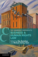 The Cambridge Companion to Business and Human Rights Law – PDF ebook